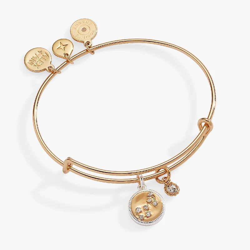 Scorpio Zodiac Charm Bangle